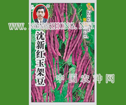 红玉架豆